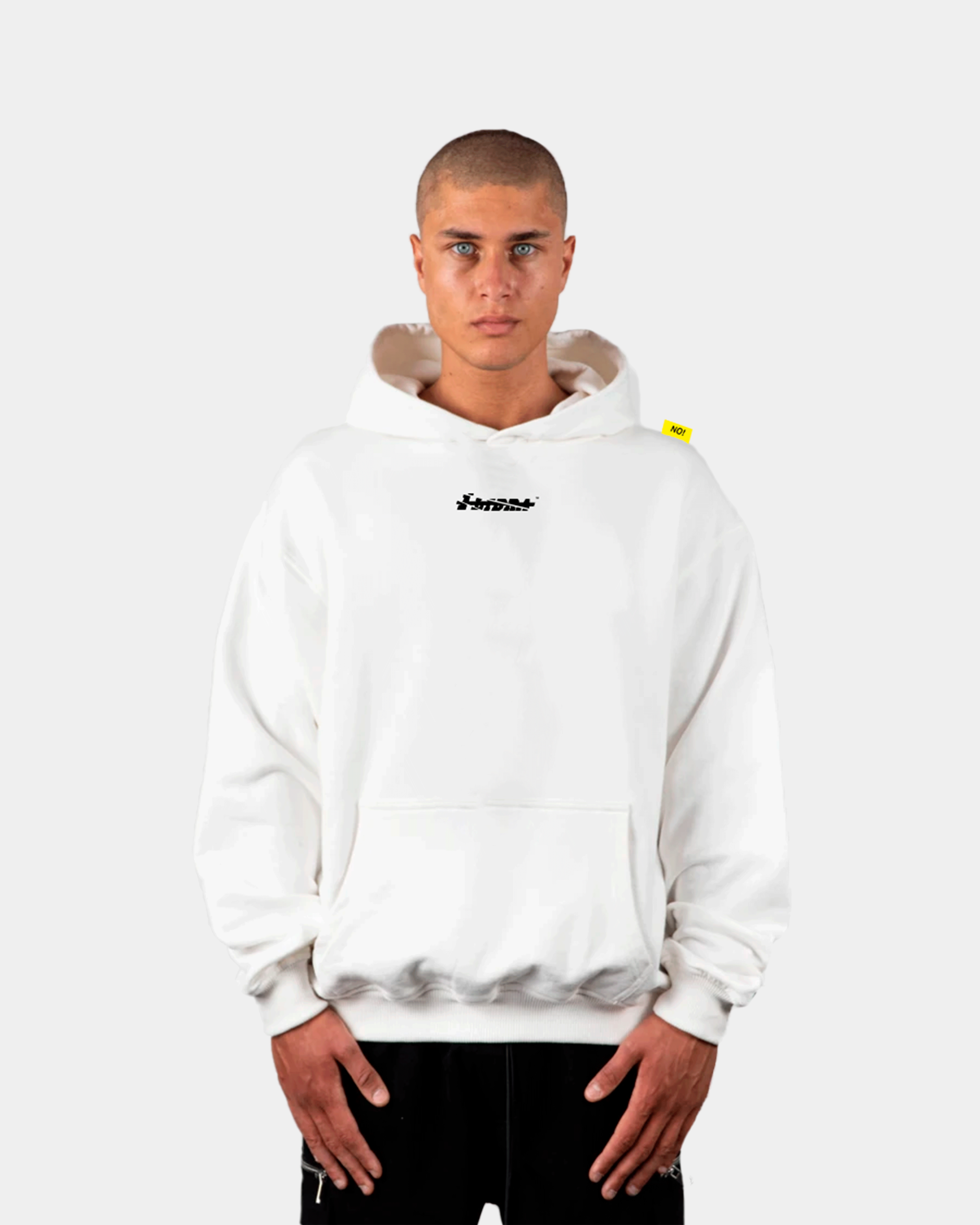 BASIC MINI LOGO//OVERSIZED HOODIE
